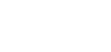 Logo Brooklyn 14th